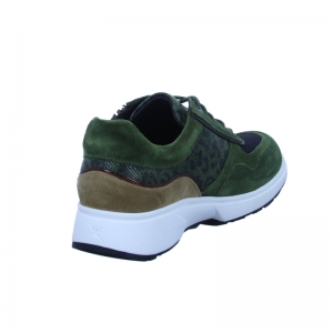 Lima Pine kaki groen