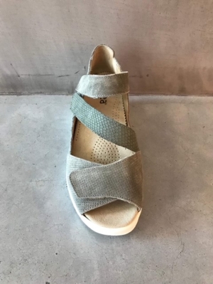 KHAKY kaki