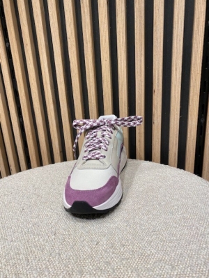 golden gate color combi lila