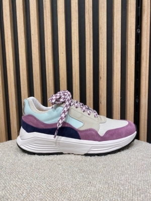 golden gate color combi lila