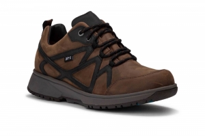 abo brown cognac