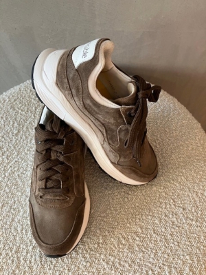golden gate lady nutmeg taupe