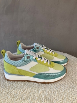 Mari 01.05 green lime