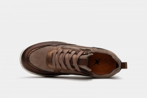 Grenoble bronze brons