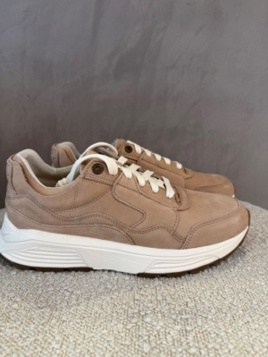 golden gate taupe bruin