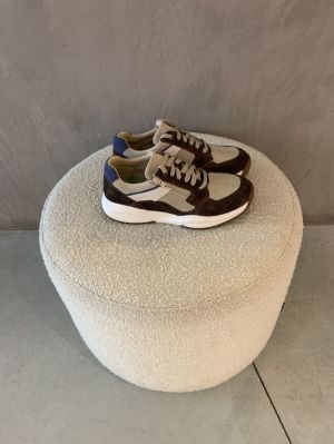 301-HX brown bruin