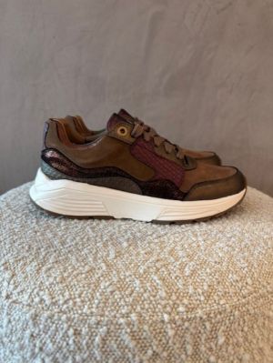 golden gate bronze combi bruin