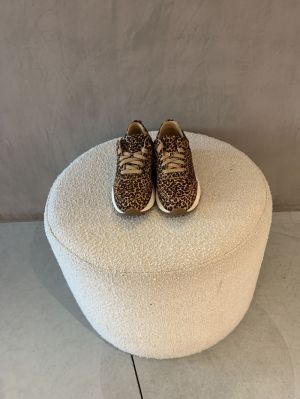 chain leopard leopard