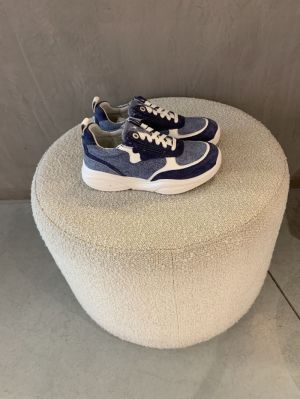 SWX21 blauw
