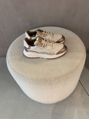 Rainbow GX goud