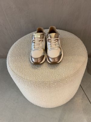 Rainbow GX goud