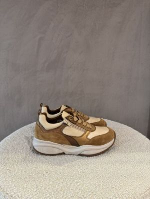 SWX19 Camel Combi Bruin